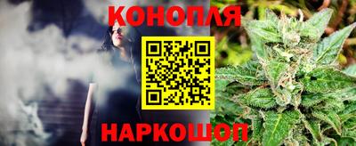 прущие грибы Апрелевка