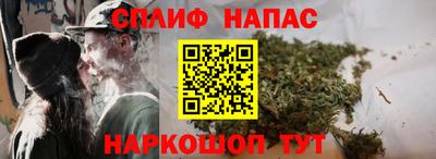 спиды Аргун