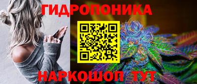 прущие грибы Апрелевка