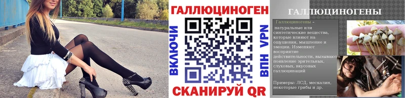 Псилоцибиновые грибы Psilocybe  Брянск 