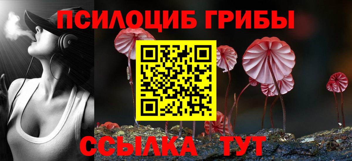 Галлюциногенные грибы MAGIC MUSHROOMS  Вход с VPN  купить наркоту  Брянск 